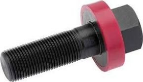 135004 Винт с шарикоподшипником 19*55мм